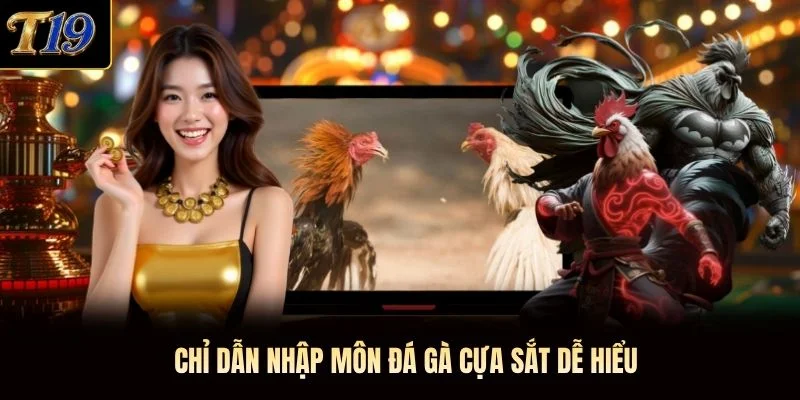 Chỉ dẫn nhập môn đá gà cựa sắt dễ hiểu Chỉ dẫn nhập môn đá gà cựa sắt dễ hiểu
