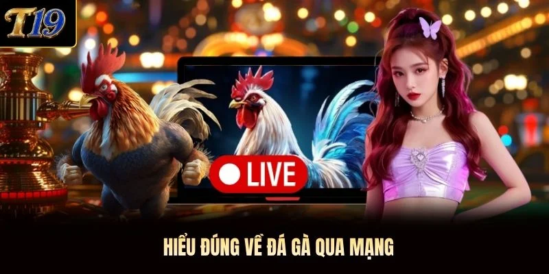 Hiểu đúng về đá gà qua mạng Hiểu đúng về đá gà qua mạng