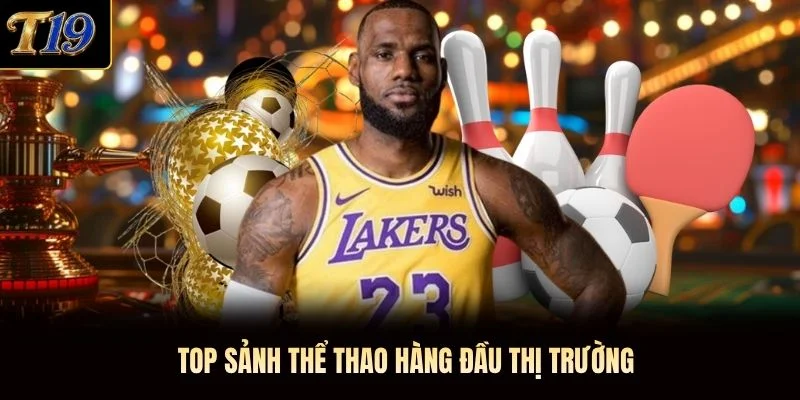 Top sảnh thể thao hàng đầu thị trường Top sảnh thể thao hàng đầu thị trường